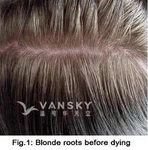 240625142435_Hair-Before Dying-s.jpg